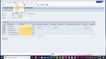 SAP S/4HANA Project Budget Supplement