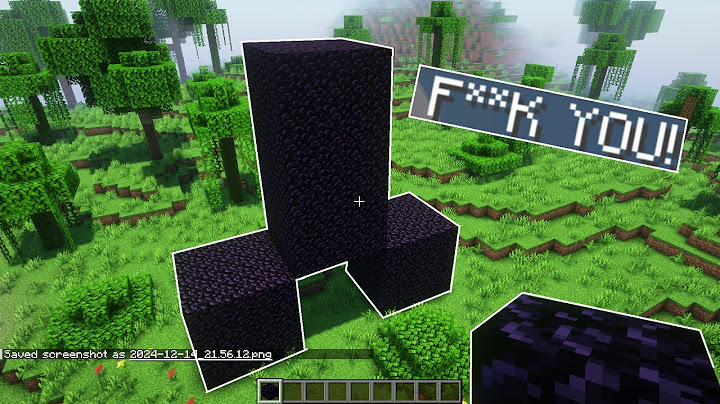 I Ruined A Child's Minecraft Server