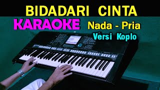 BIDADARI CINTA - Adibal | KARAOKE Nada Pria | Koplo Version