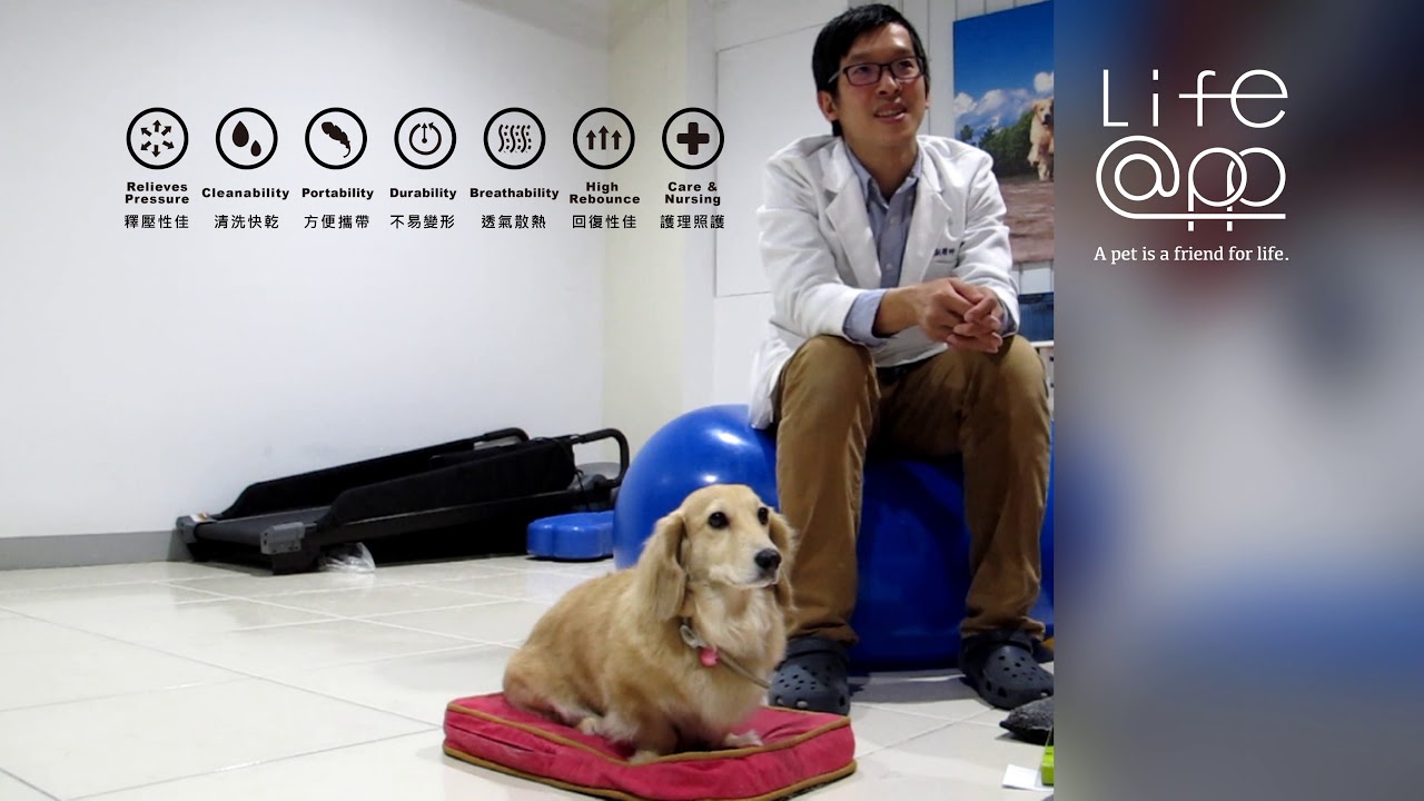 Lifeapp 艾利動物醫院謝醫師 老犬褥瘡篇 Lifeapp 艾利動物醫院謝醫師 老犬褥瘡篇