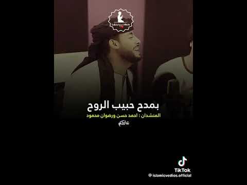 بمدح حبيب الروح المنشدان احمد حسن ورضوان محمود