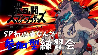疲れたもんよの日曜深夜帯スマブラSP #121