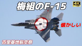 4K】百里基地の梅組マークのF-15J 機動飛行F-15J mobile flight with