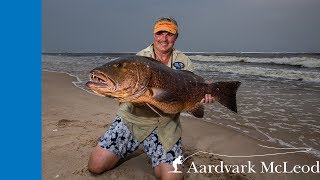 Fly Fishing In Gabon