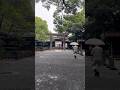 Meiji Shrine ⛩️🇯🇵 #meijijingu #exploringtokyo