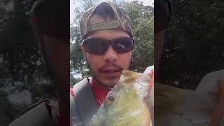 Fishingwitheric671 caught a peacock bass using soft plastic worm 🐛