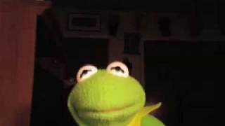 ADAM RAY: Kermit's Reaction to his Reaction Video of \