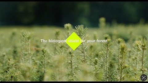 Jifteco - The Biological Shield for Your Forest