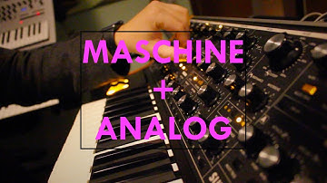 Maschine Meets Analog - Beatmaking with Moog Sub 37 & Analog Keys