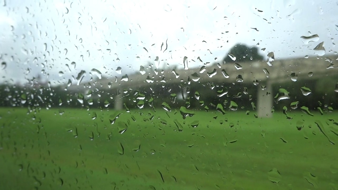 grand marnier On-board Walt Disney World Transport Gillig - Polynesian Village Resort to Grand Floridian Resort