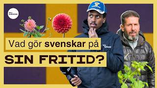 Vad Gör Svenskar På Sin Fritid? Sverigekursen - Lär Dig Svenska