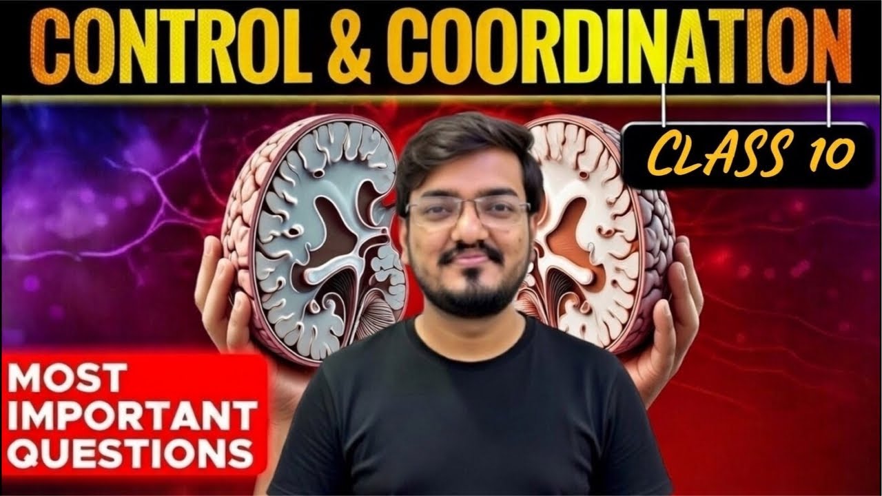 Control & Coordination Class 10 | PYQs + | Brain, Hormones & Reflex ...