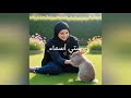 الجهاز الهضمي عند الأرنب إيقاظ علمي للسنة الرابعة 