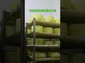 «Живой» фермерский сыр #андрейданиленко #свояеда #бизнесвдеревне