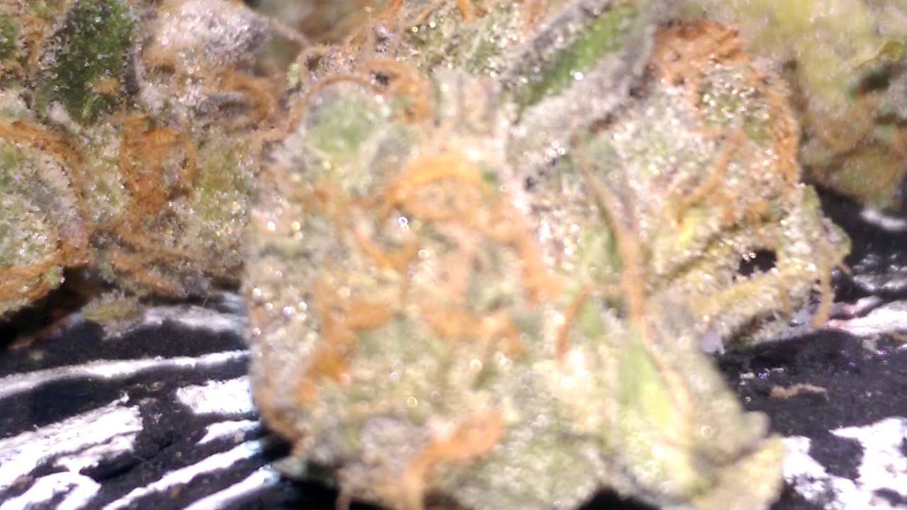 Platinum girl scout cookies