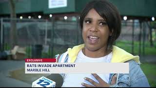 Bronx woman begs for help as rats invade her NYCHA apartment