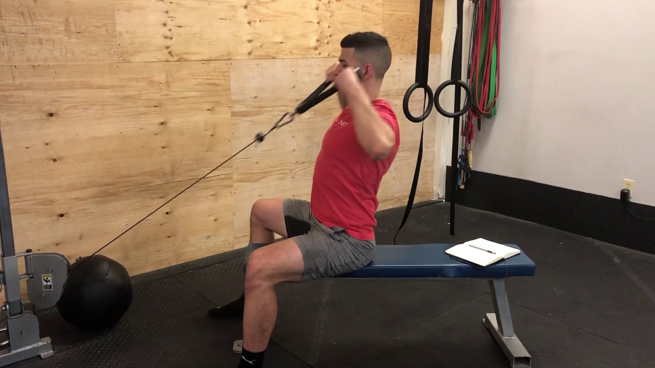 Seated Low Pulley Rope Facepulls YouTube