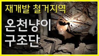 [EBS 고양이를 부탁해 '온천냥이구조단' 편] 많은 분들의 관심이 필요합니다 by 짜바 3,351 views 4 years ago 1 minute, 7 seconds