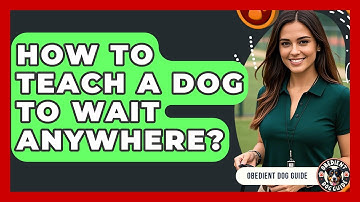 How To Teach A Dog To WAIT Anywhere? - Obedient Dog Guide