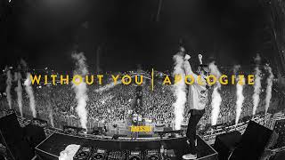 Without You | Apologize (Alesso Mashup) Resimi