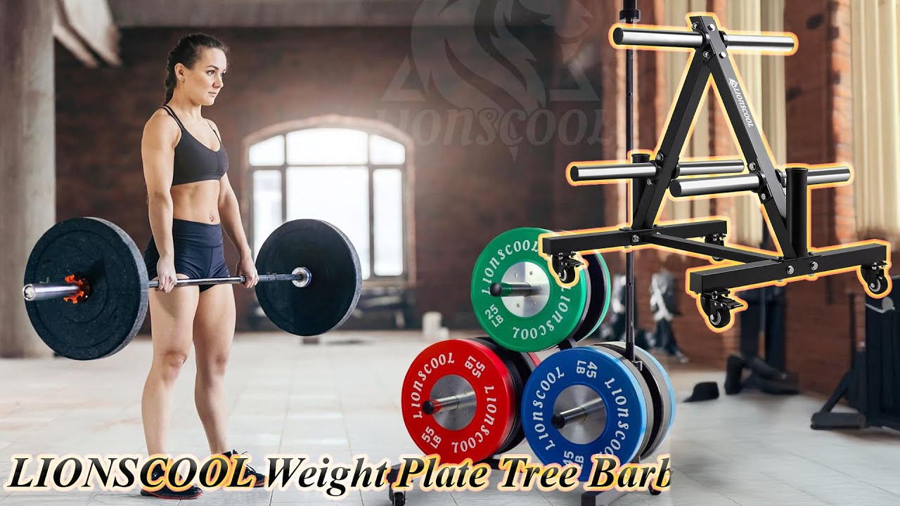 LIONSCOOL 2-Inch Olympic Weight Plate Tree & Barbell Holders | Heavy-Duty Storage Rack/Flash Review