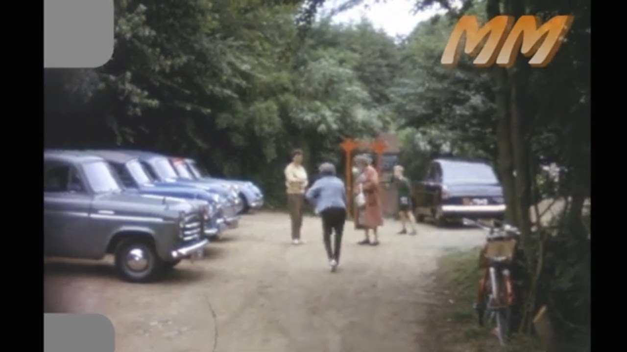 Jersey Pottery, Zoo & Tropical Gardens 1962 old cine film 399