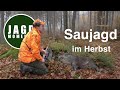 JagdMomente | Folge 5 | Drückjagd & Ansitz auf Sau & Reh im Herbst