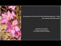 Systematics of Microlicia (Melastomataceae), a large near-endemic Brazilian genus