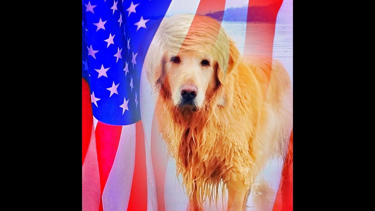 Inauguration Boycotters