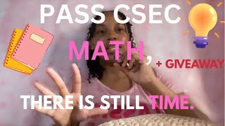 How to STILL pass CSEC MATH/ Last minute paper 1 tips