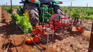 Rinieri Velox 8 Dual Side In-Row Power Harrow In the Vineyard