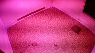 Set up Breeding Room #2