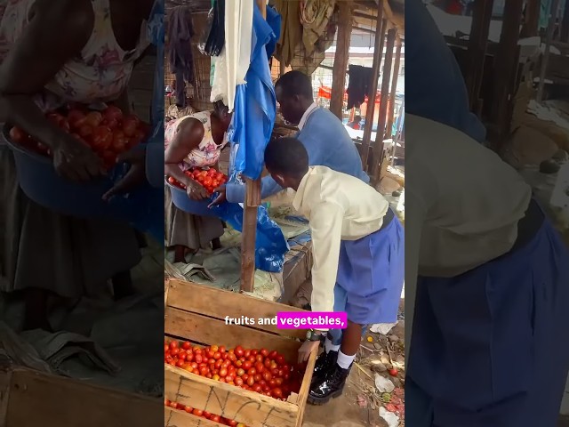Don’t Let Your Tomatoes Go to Waste! Here’s the Solution