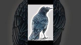 Most Underrated House