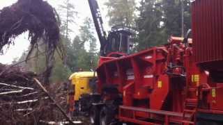 Morbark 3800 Wood Hog