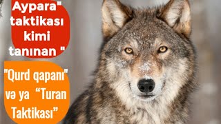 Aypara Taktikası Kimi Tanınan Qurd Qapanı Və Ya  Turan Taktikası