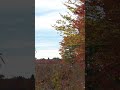 Beautiful Fall Day at Three Rivers Wildlife Management Area