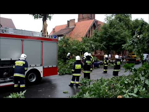 Ostrzeszów: Drzewo runęło