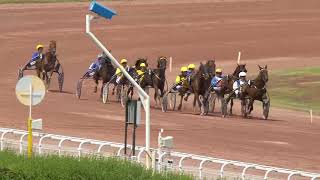 Vidéo de la course PMU PRIX DE L'ARDECHE