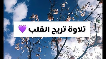 القارئ عمير شميم / تلاوة تريح القلب من ضجيج الحياة 💜