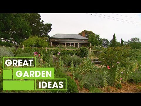 Video: Australian Modernismi