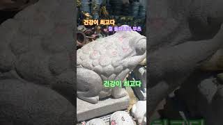 건강이 최고다 필요한 약재 복용으로 몸속에 있는 노폐물을 빠르게 없애 간을 건강하게 해 행복하세요