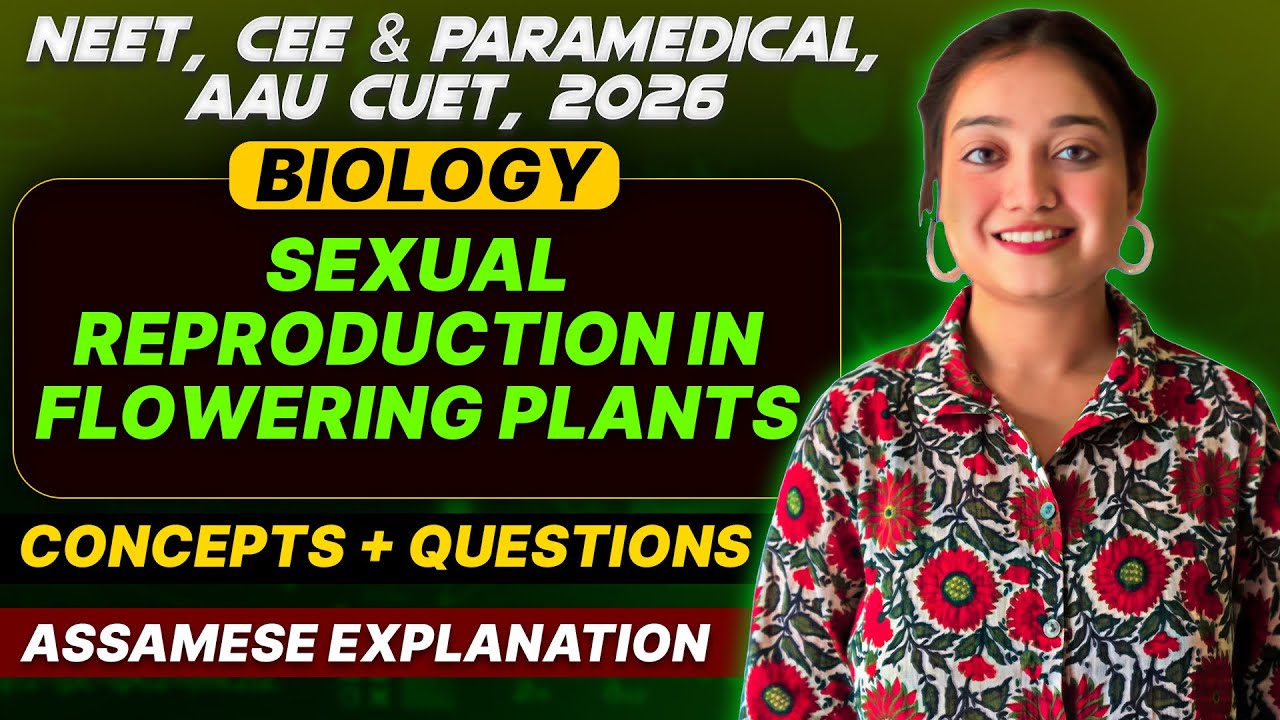 NEET +CEE 2026 Biology | Sexual Reproduction in Flowering Plants ...