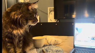 Mama Mia Watches the Evidence… and DENIES Everything! 😂❤️