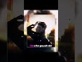 Love For You - LOVELI LORI, ovg! [white girl music (perfect for gym)] [sped up] × sukuna gentleman