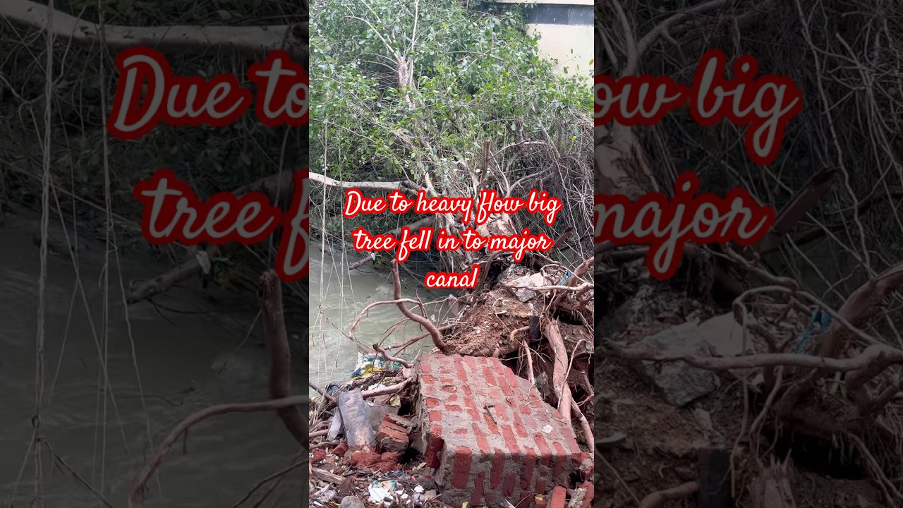 Dangerous flow of Water at disuknagar