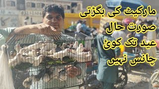 Birds Market Lalukhet Sunday Video Latest Update 5-5-24 in Urdu\/Hindi
