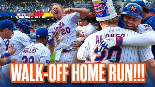 Celebrity Pete Alonso LAUNCHES 3-Run Walk-Off Home Run! | FULL AT-BAT AND CELEBRATION Profile