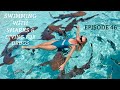 Ep 46. Swimming with sharks and diving for drugs. (Sailing Susan Ann II)