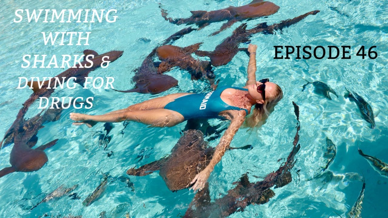 Ep 46. Swimming with sharks and diving for drugs. (Sailing Susan Ann II)